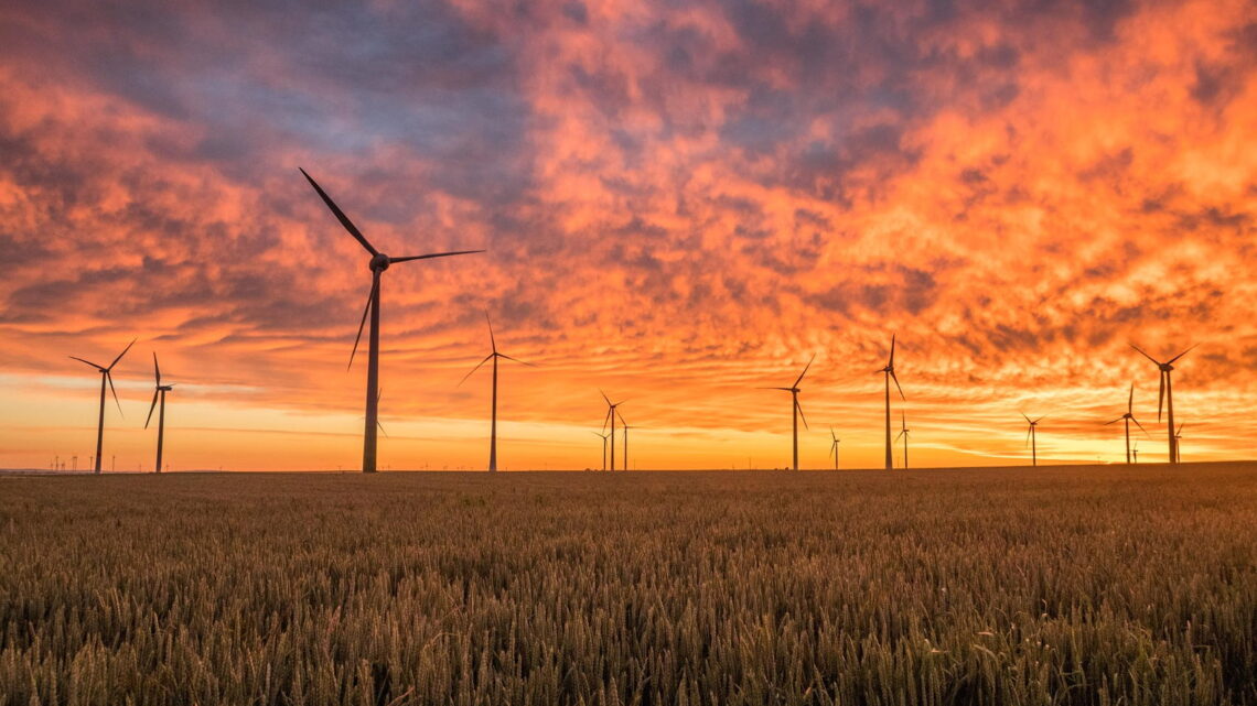 Vindenergi var den stora vinnaren 2020